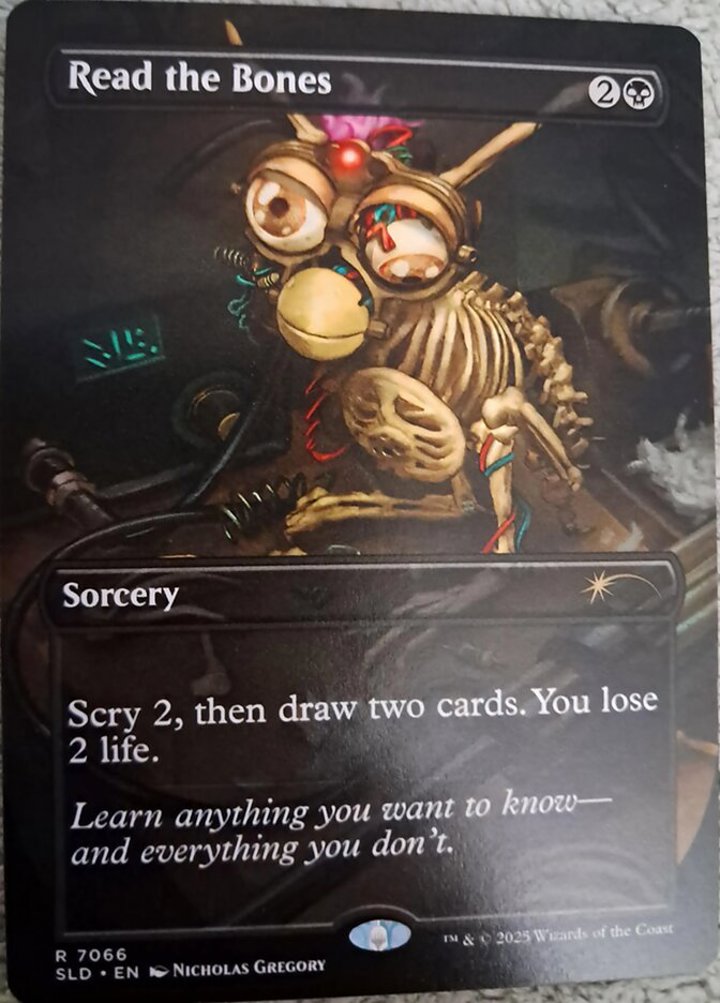 Read the Bones (V.1)