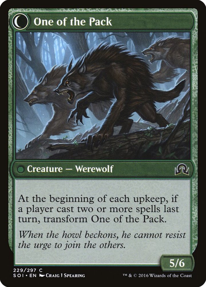 Solitary Hunter / One of the Pack
