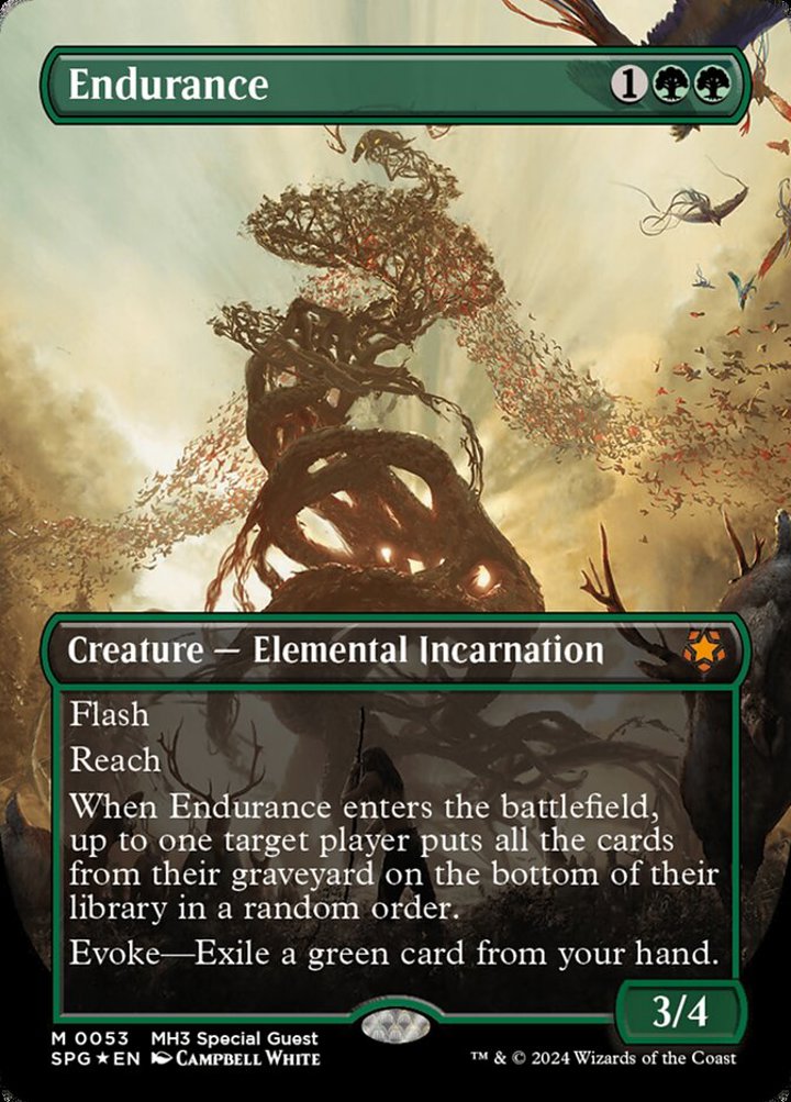 Endurance (V.2)