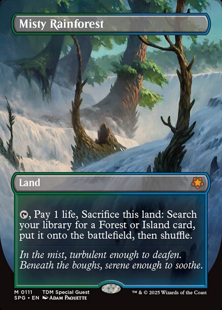 Misty Rainforest (V.1)
