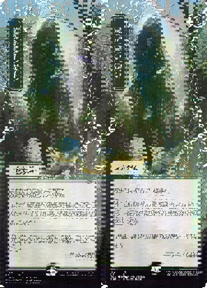 Weather the Storm (V.2)