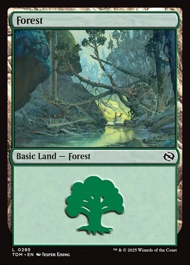 Forest (V.2)