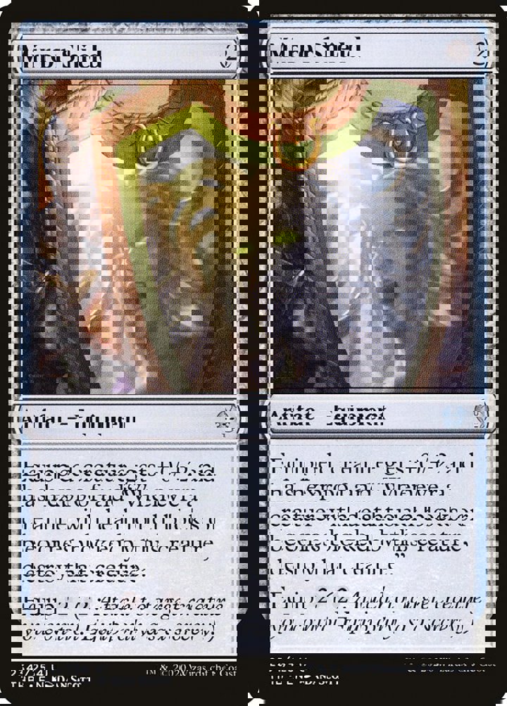 Mirror Shield
