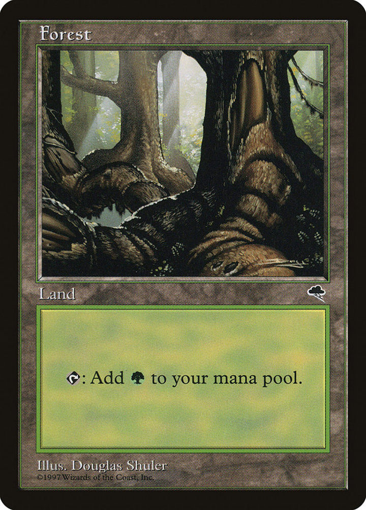 Forest (V.2)