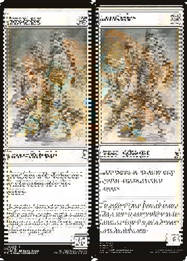 Amrou Seekers