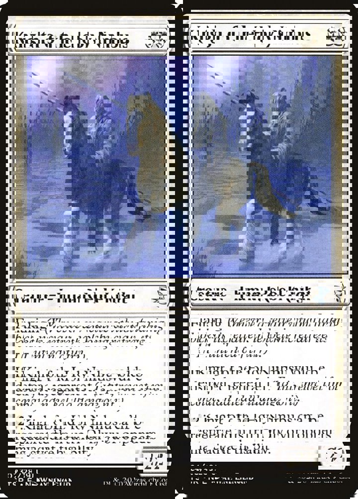 Knight of the Holy Nimbus