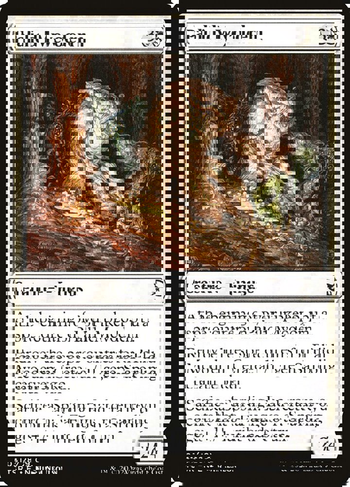 Pallid Mycoderm