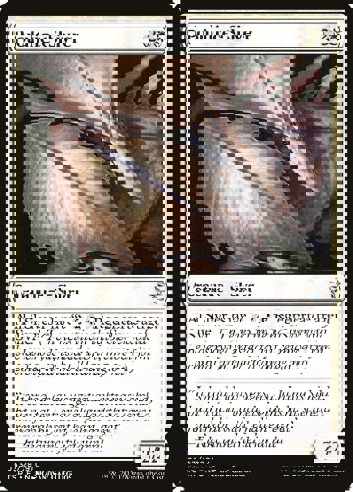 Poultice Sliver