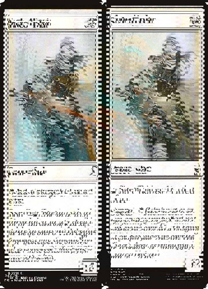 Shade of Trokair