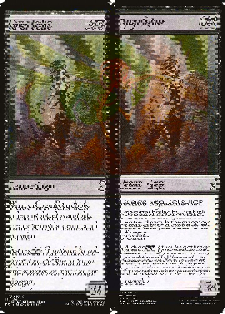 Gorgon Recluse