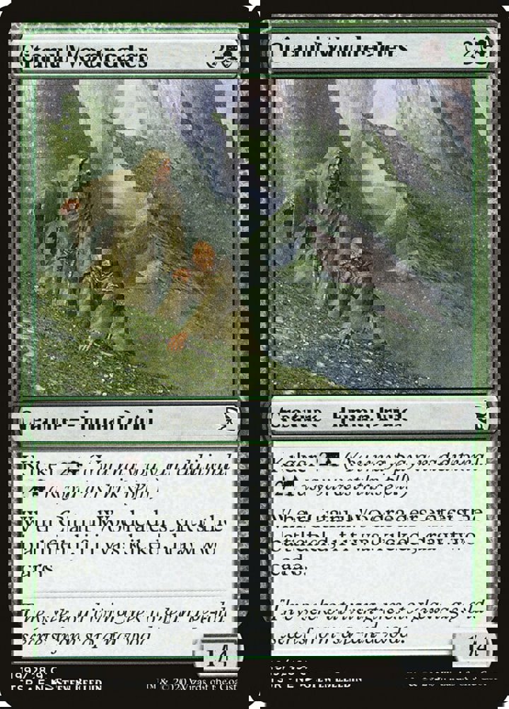 Citanul Woodreaders