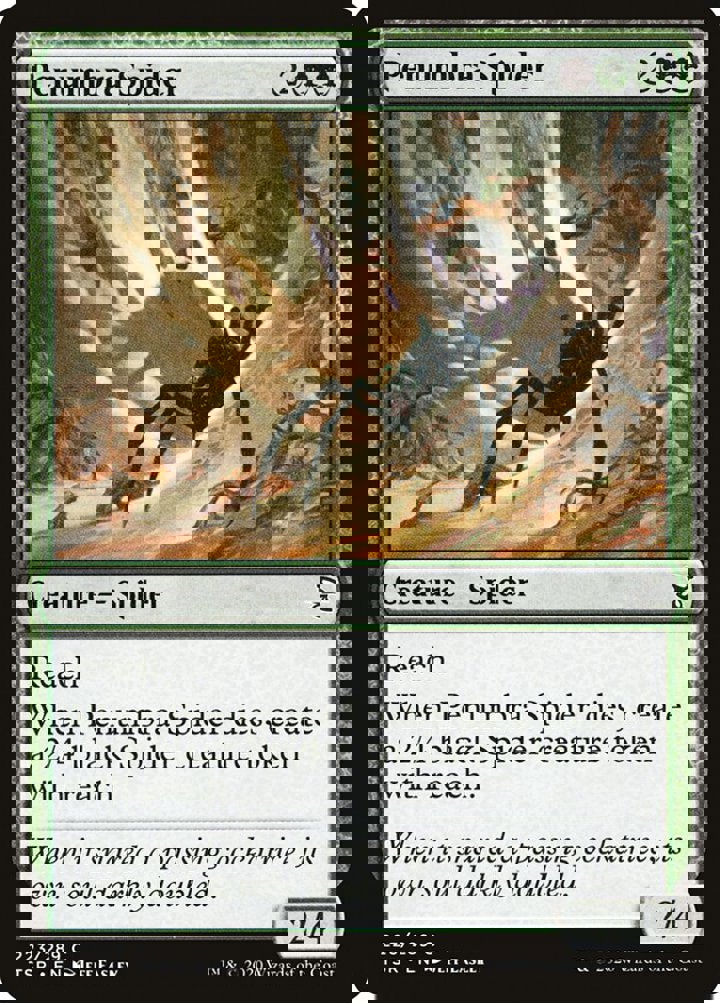 Penumbra Spider