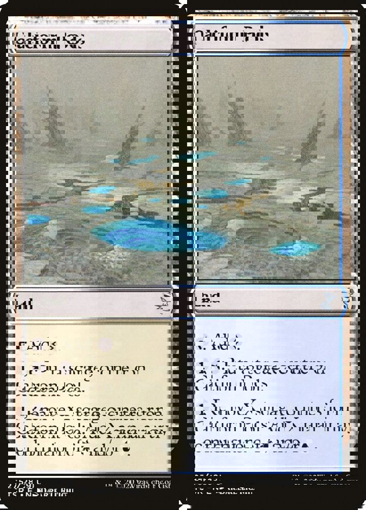 Calciform Pools