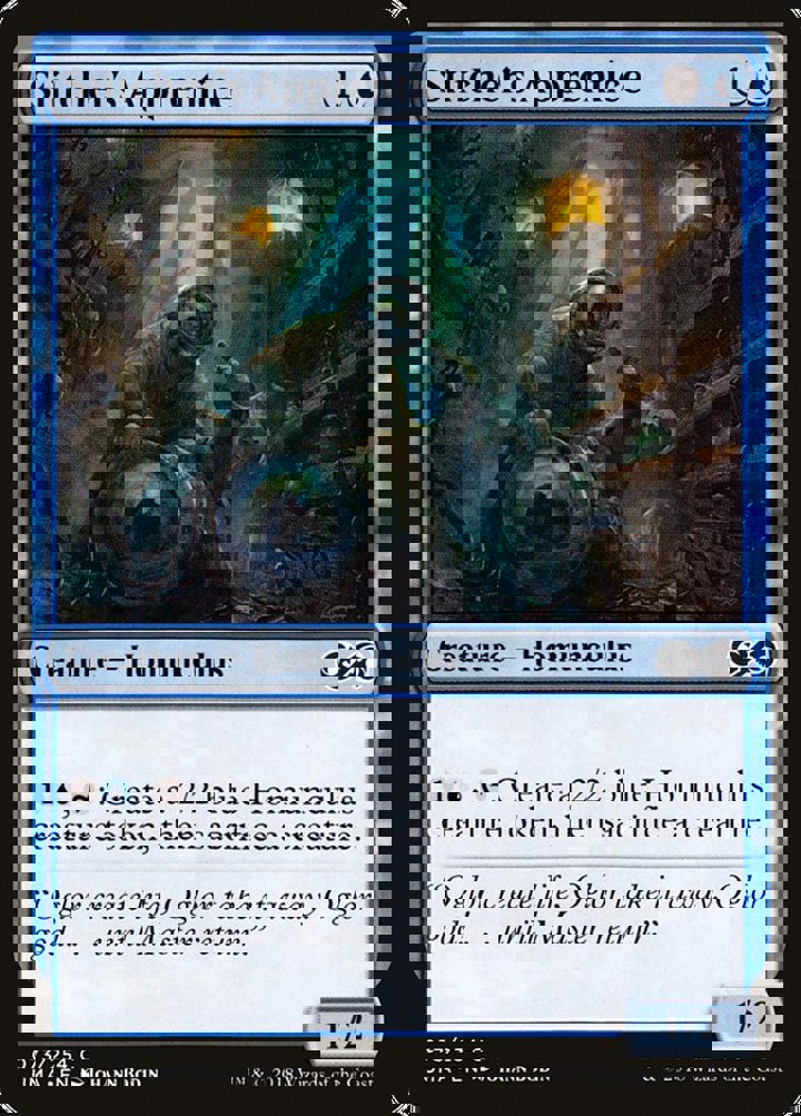 Stitcher's Apprentice