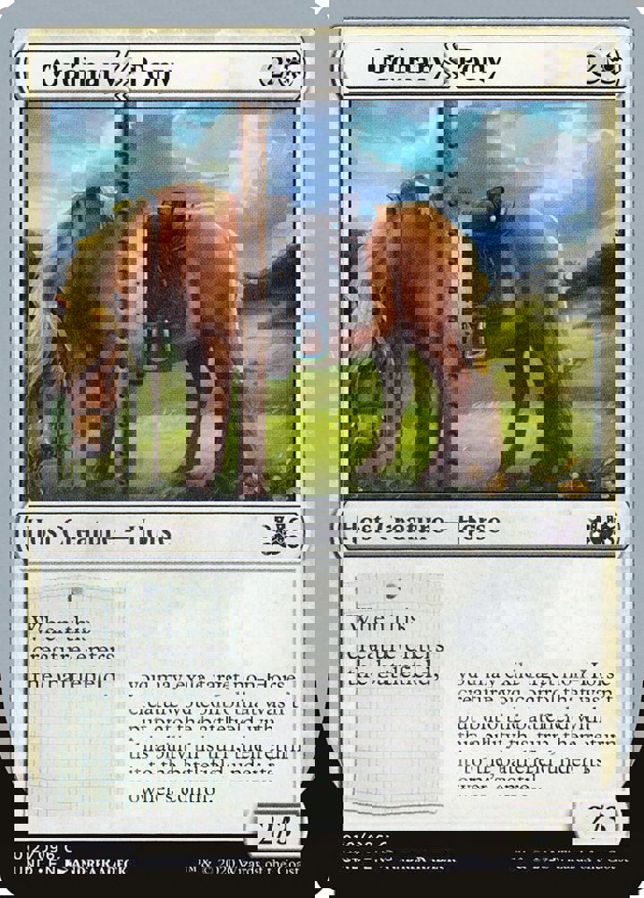 Ordinary Pony