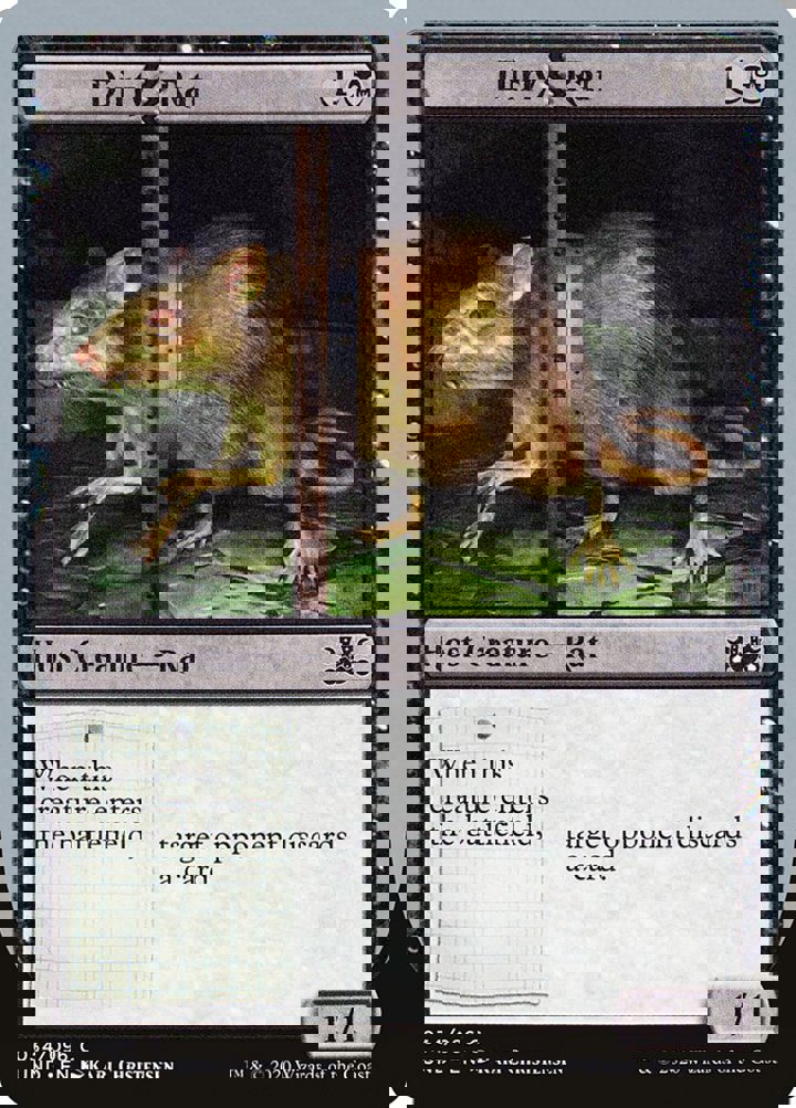 Dirty Rat