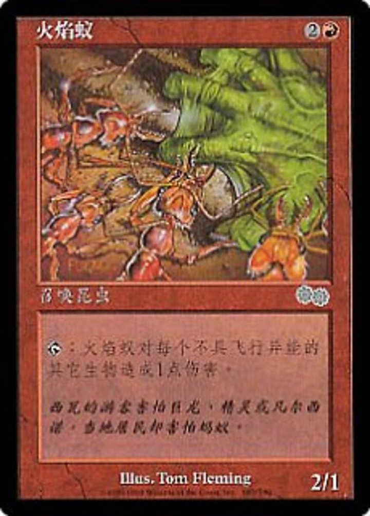 Fire Ants