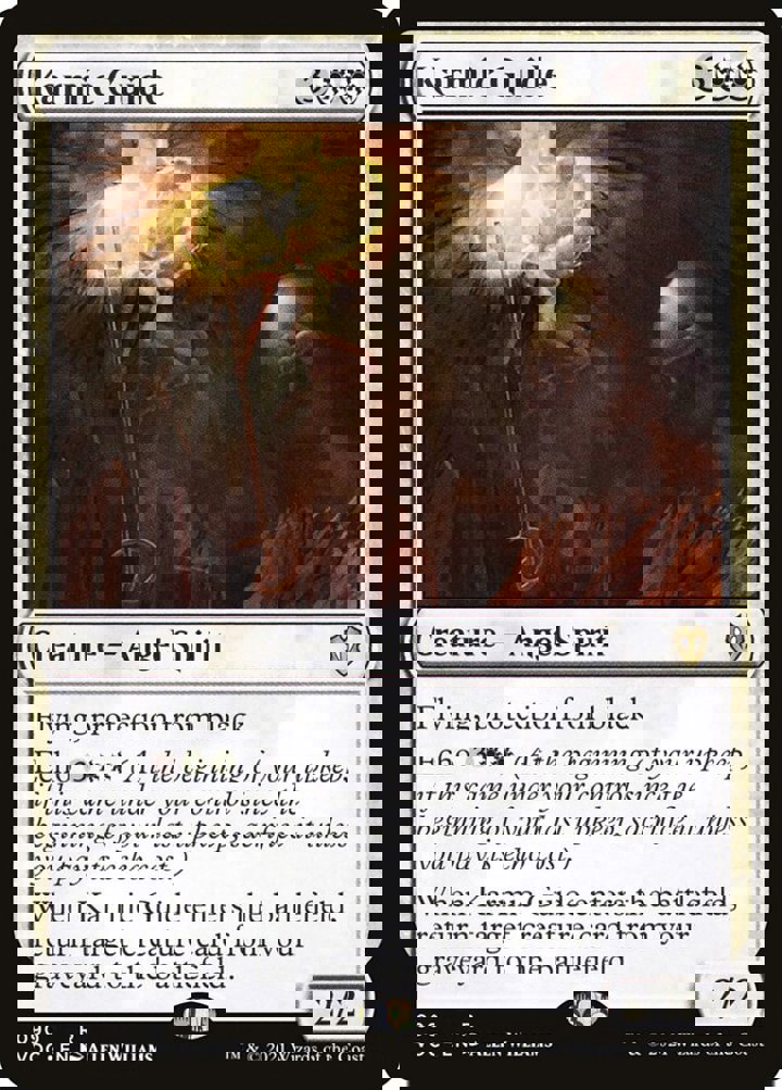 Karmic Guide
