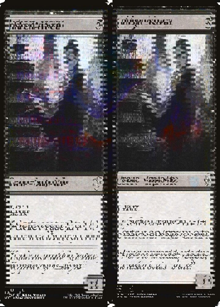 Indulgent Aristocrat