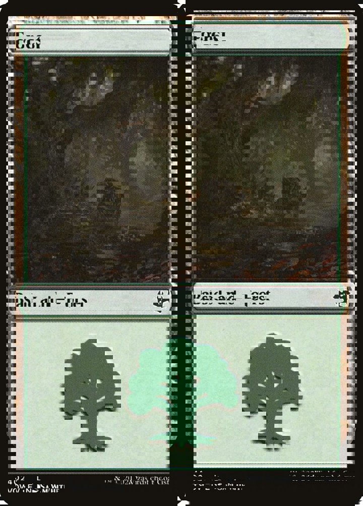 Forest