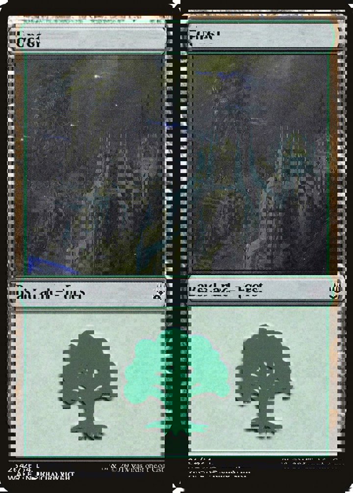Forest (V.3)