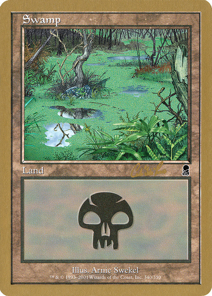 Swamp (V.1)