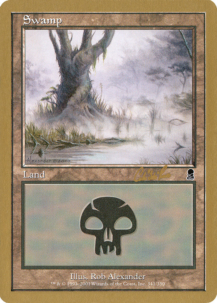 Swamp (V.2)