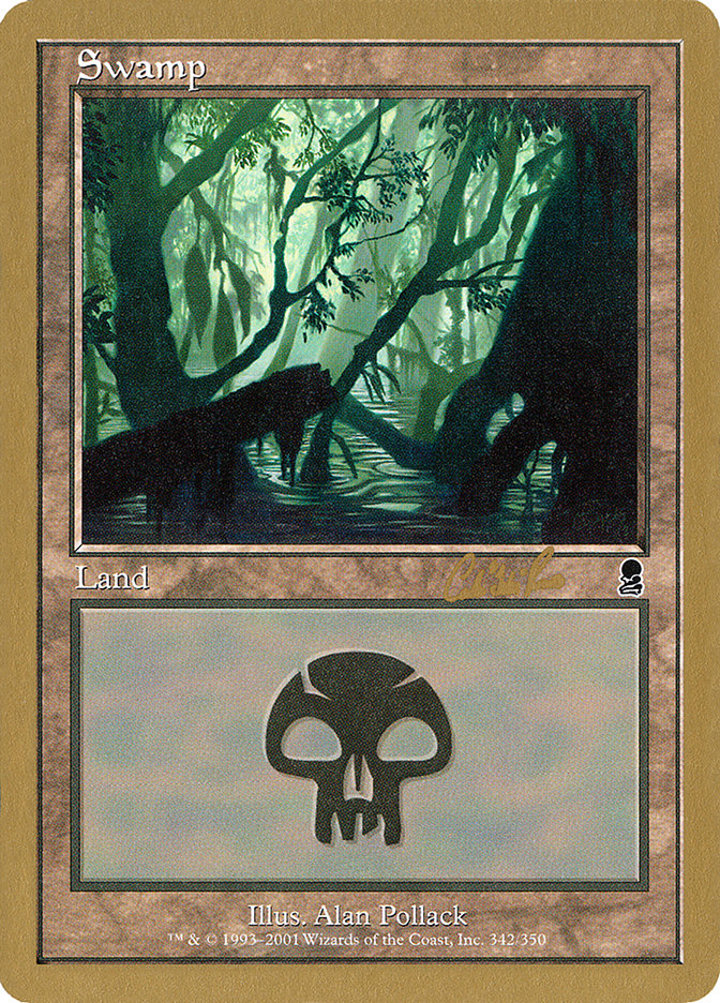Swamp (V.3)