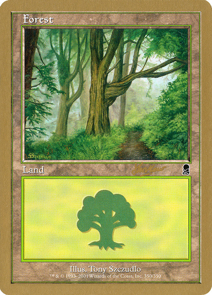 Forest (V.4)