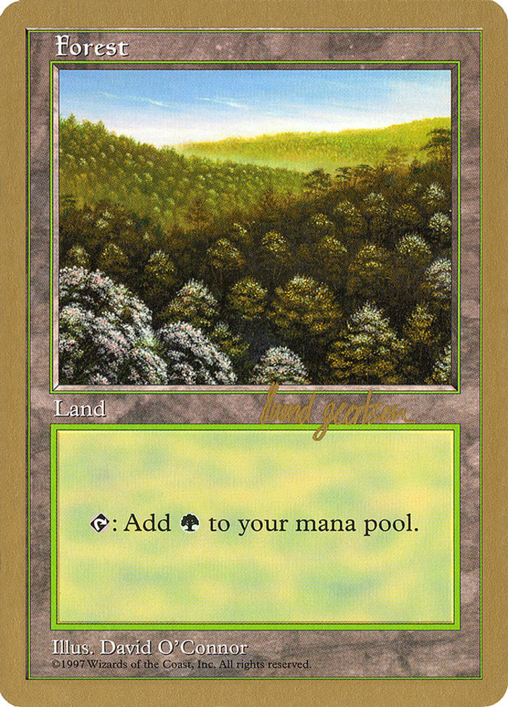 Forest (V.1)