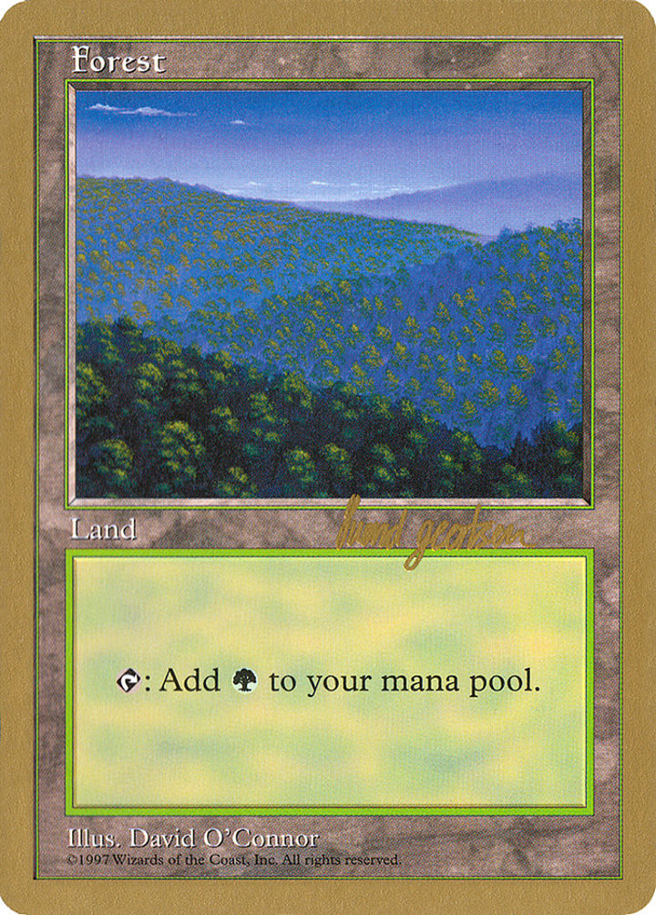 Forest (V.2)