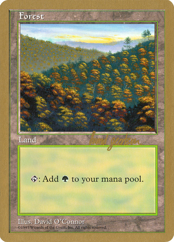 Forest (V.3)