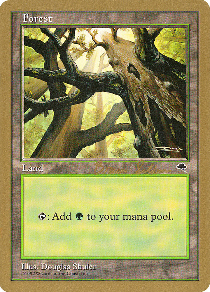 Forest (V.1)