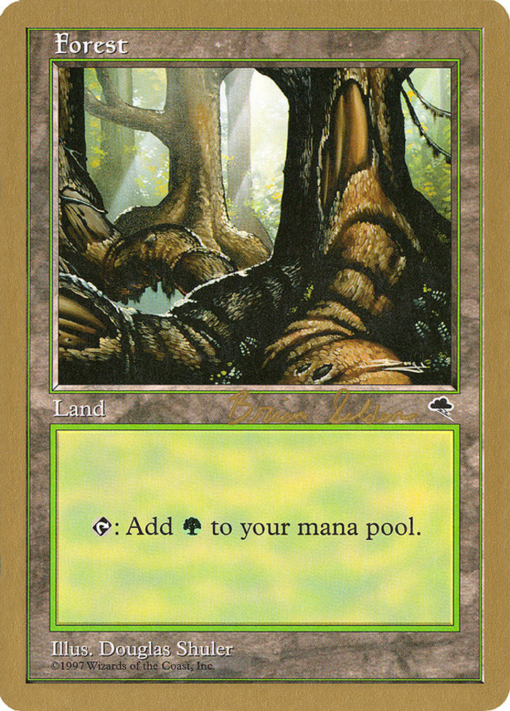 Forest (V.2)