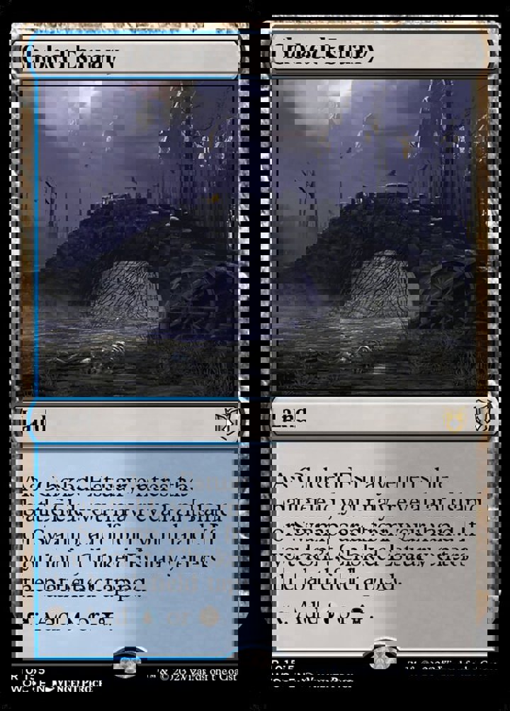 Choked Estuary