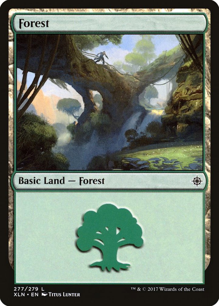 Forest (V.2)