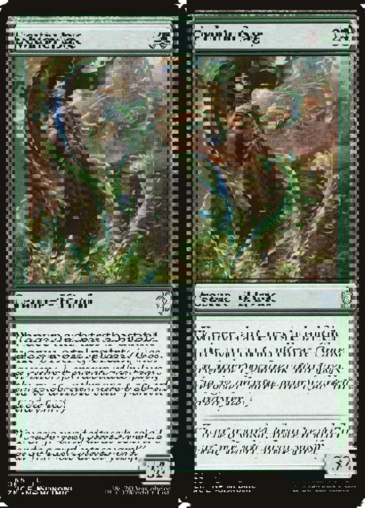 Evolution Sage
