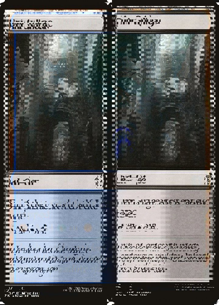 Dimir Guildgate