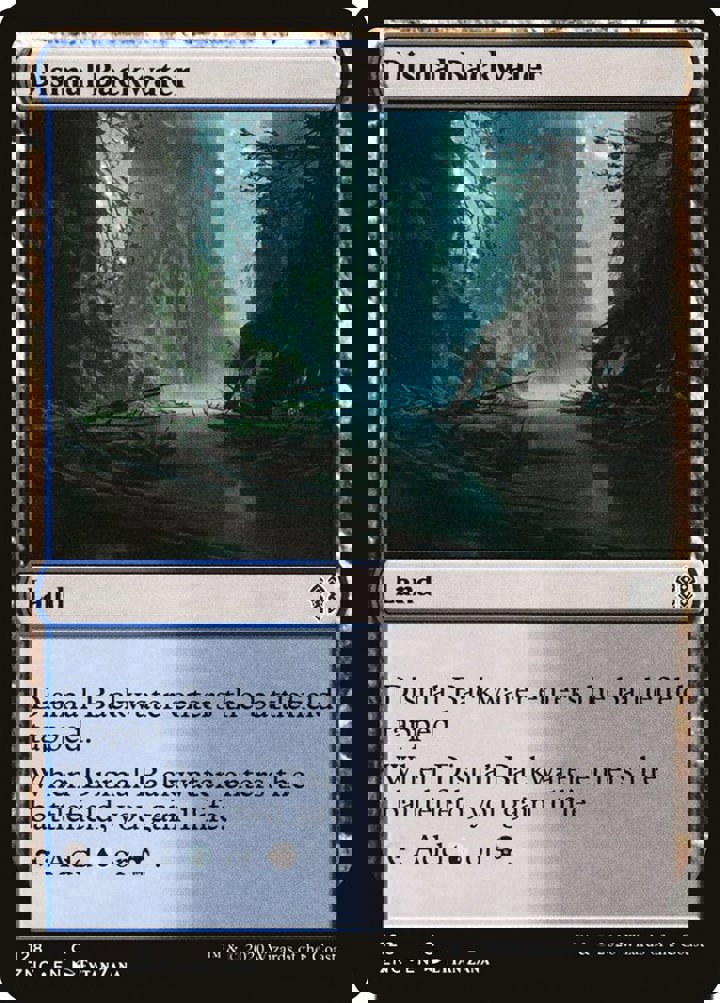 Dismal Backwater