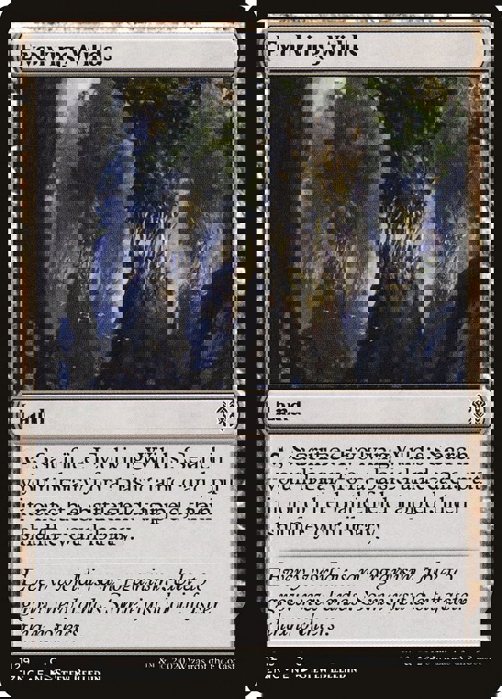 Evolving Wilds