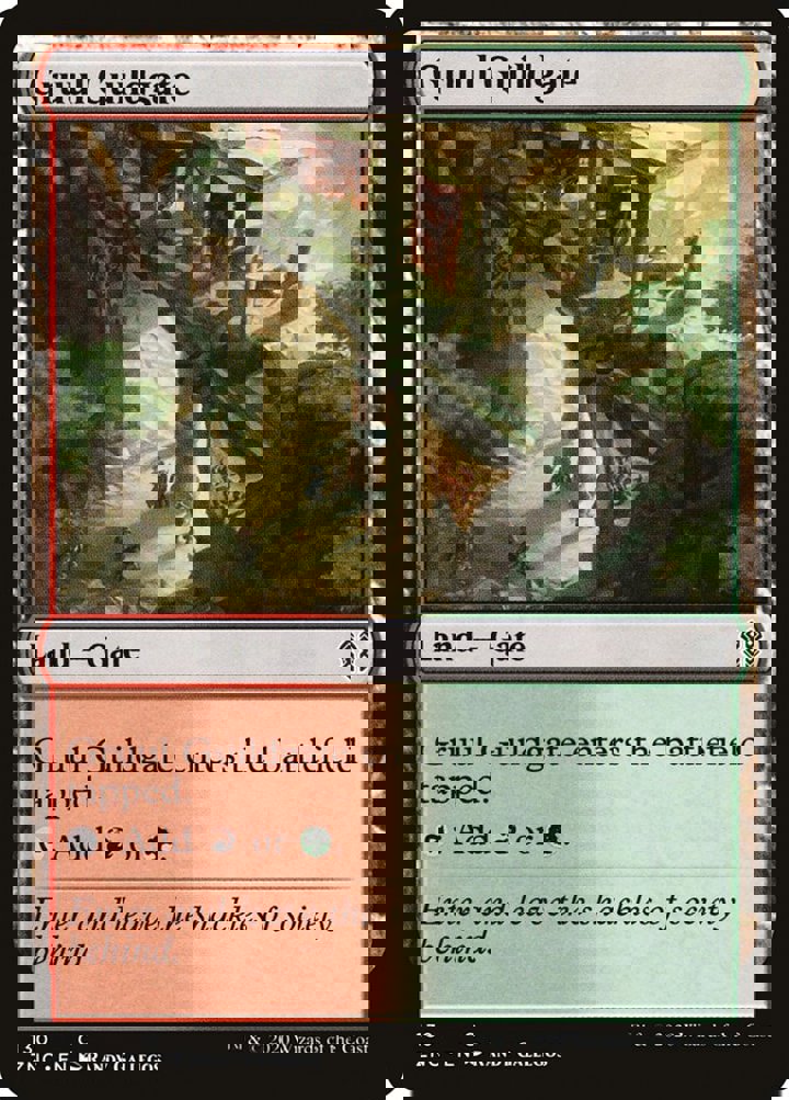 Gruul Guildgate