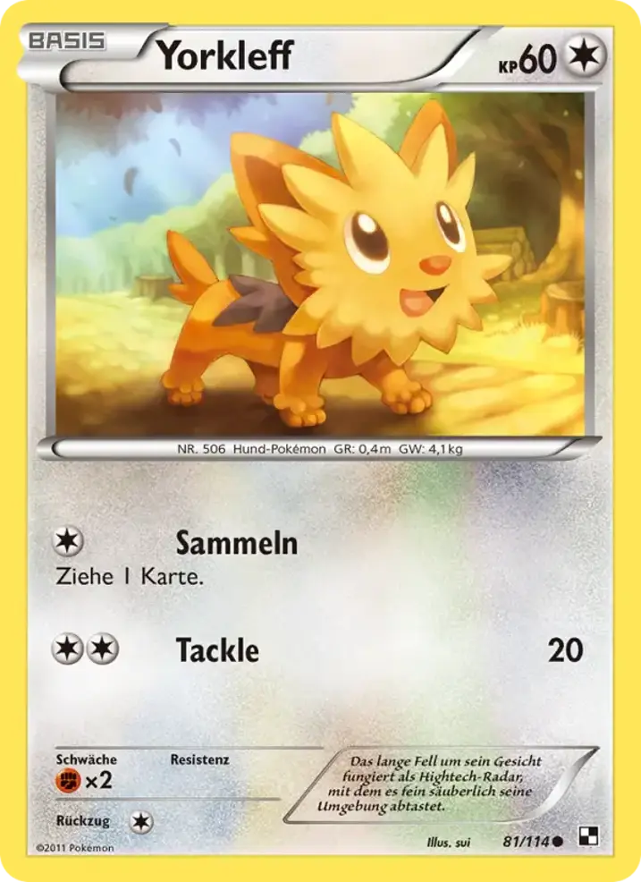 Lillipup 