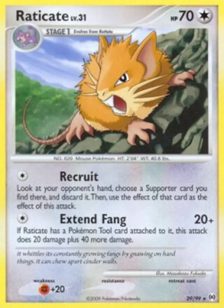 Raticate Lv.31 