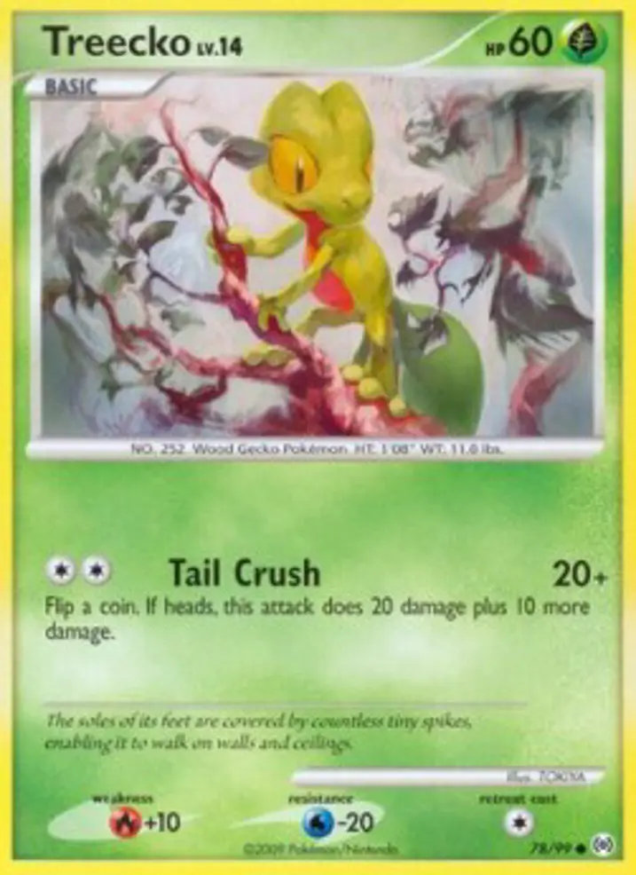 Treecko Lv.14 