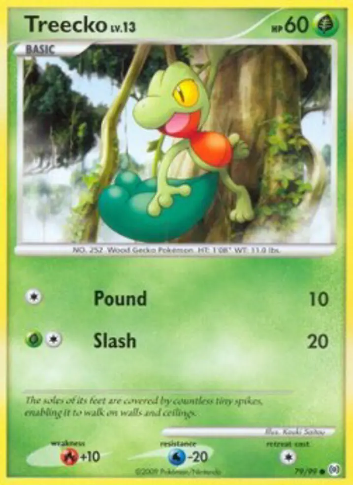 Treecko Lv.13 