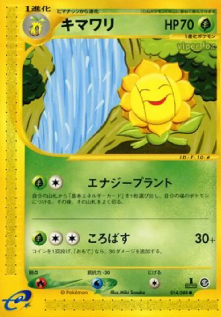 Sunflora 
