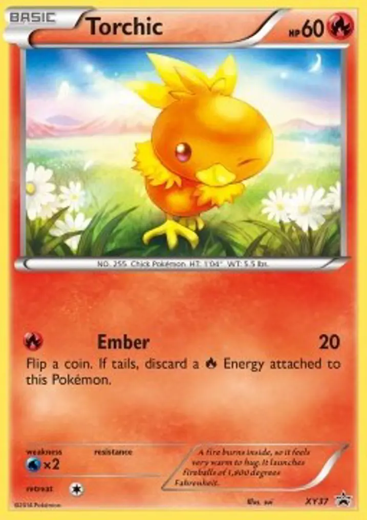 Torchic 