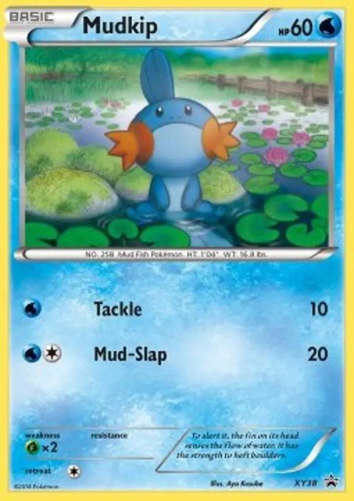 Mudkip 