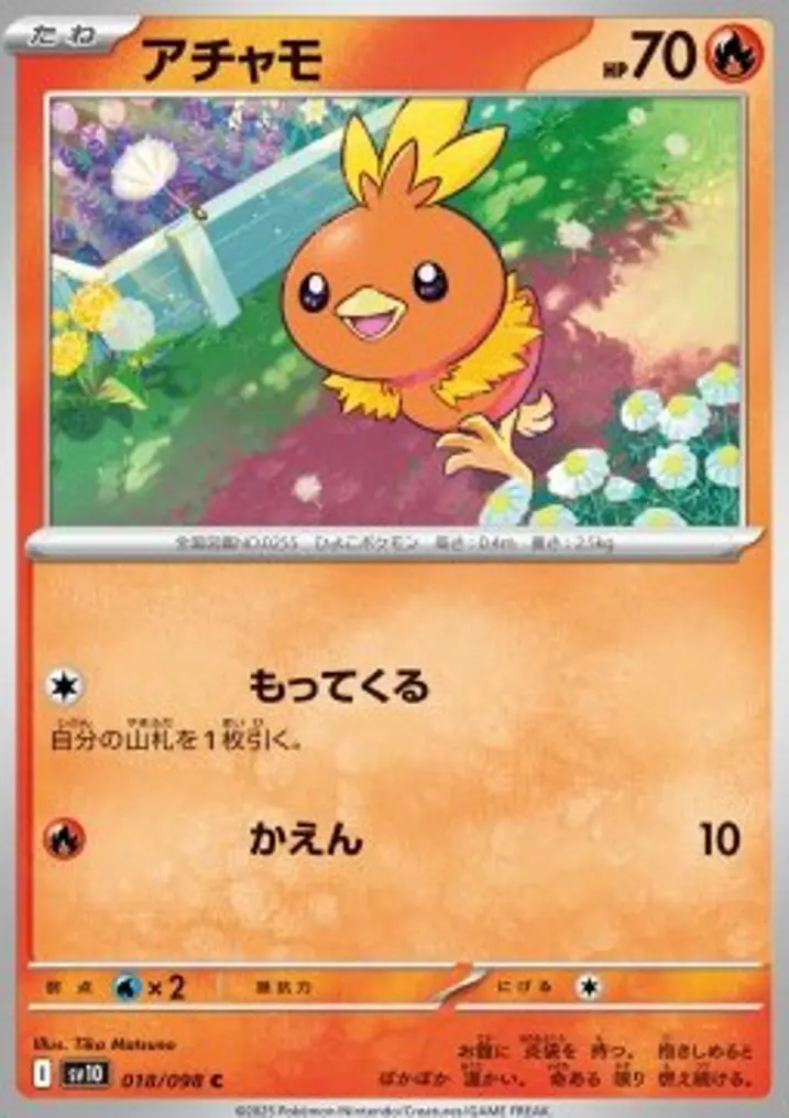 Torchic 