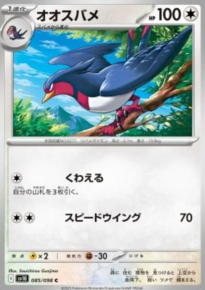 Swellow 